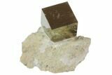 Natural Pyrite Cube In Rock From Spain #82086-1